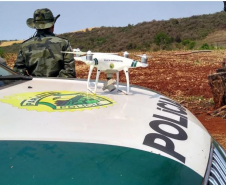 Operação Mata Atlântica em Pé aplicou R$ 15,6 milhões em multas por desmatamento ilegal