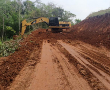 Operação Mata Atlântica em Pé aplicou R$ 15,6 milhões em multas por desmatamento ilegal