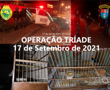 Operação Tríade reforça presença da Polícia Militar na Capital e RMC e 17 pessoas são presas