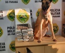 Operação Hórus: Durante final de semana, Polícia de Fronteira apreende quase 60 quilos de maconha e encaminha duas pessoas, no Oeste do estado