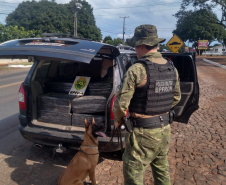 Abordagens do BPFRON resultam em mais de R$ 8 milhões de prejuízo ao contrabando e ao tráfico de drogas na região de Fronteira