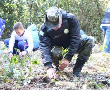 O plantio na Grande Reserva Mata Atlântica, não poderia ser mais simbólica