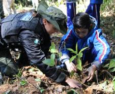 O plantio na Grande Reserva Mata Atlântica, não poderia ser mais simbólica