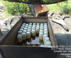 Apreensão de palmito em Adrianópolis