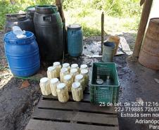Apreensão de palmito em Adrianópolis