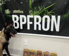 PMPR e BPFRON apreendem 5,2 kg de crack em ônibus na rodoviária de Umuarama