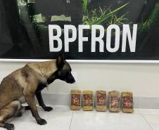 PMPR e BPFRON apreendem 5,2 kg de crack em ônibus na rodoviária de Umuarama
