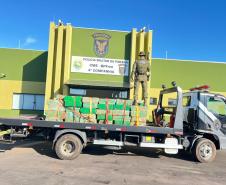 Polícia Militar do Paraná realiza apreensão de mais de meia tonelada de crack, na região noroeste do estado