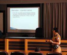 Adolescentes do Projeto Jovens Promissores do Tribunal de Justiça participam de atividades com a Polícia Militar