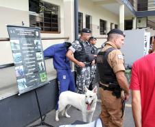 Adolescentes do Projeto Jovens Promissores do Tribunal de Justiça participam de atividades com a Polícia Militar