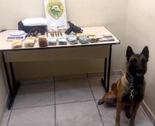 PM prende casal com quase cinco quilos de drogas, armas e mais de R$ 100 mil reais nos Campos Gerais

