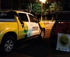 BPRv apreende mais de 107 quilos de maconha em Diamante do Oeste (PR)

