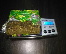 PM apreende garrucha e drogas em duas ocorrências no Sudoeste do PR