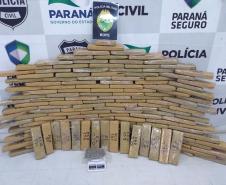Mais de uma tonelada de drogas é retirada das ruas pelo BOPE em abril