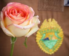 Curitiba, 11 de maio de 2018. 11-05-2018 Entrega de rosas em homenagem ao Dia das Mães