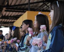 Curitiba, 11 de maio de 2018. 11-05-2018 Entrega de rosas em homenagem ao Dia das Mães