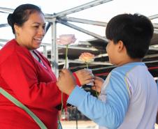 Curitiba, 11 de maio de 2018. 11-05-2018 Entrega de rosas em homenagem ao Dia das Mães