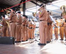 Curitiba, 11 de maio de 2018. 11-05-2018 Entrega de rosas em homenagem ao Dia das Mães