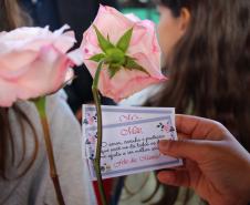 Curitiba, 11 de maio de 2018. 11-05-2018 Entrega de rosas em homenagem ao Dia das Mães