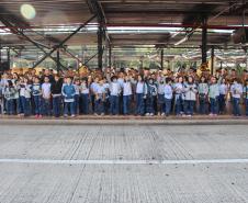 Curitiba, 11 de maio de 2018. Entrega de Flores em Homenagem ao Dia das Mães