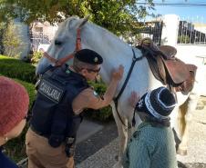 Pelotão de cavalaria visita lar de Idosos em Ponta Grossa (PR)
