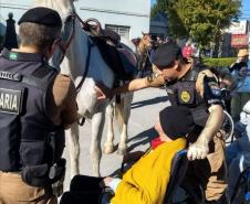Pelotão de cavalaria visita lar de Idosos em Ponta Grossa (PR)
