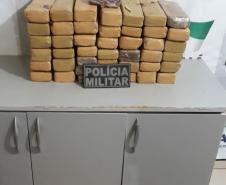 PM aborda chácara e apreende mais de 30 quilos de maconha em Cascavel (PR), no Oeste do estado