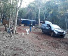 PM aborda chácara e apreende mais de 30 quilos de maconha em Cascavel (PR), no Oeste do estado