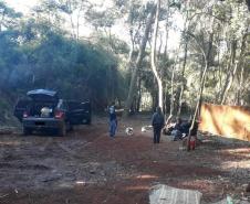 PM aborda chácara e apreende mais de 30 quilos de maconha em Cascavel (PR), no Oeste do estado