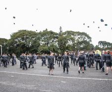 Curitiba, 15 de Junho de 2018.