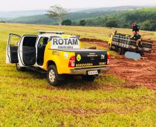 BPRv apreende caminhão com 49 pneus e 29 caixas de Whisky contrabandeados no Oeste do estado