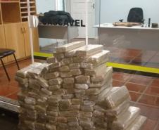 BPRv apreende em Cascavel (PR) 165 quilos de maconha em veículo roubado e com placas alteradas; dois homens são presos