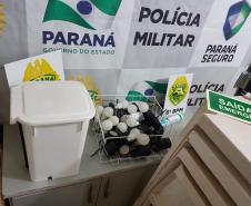 Ações da PM em Cascavel e região resultam em duas armas e mais de 10 quilos de maconha apreendidos