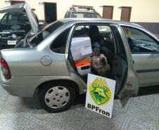 Carros e moto são apreendidos durante ações do BPFron na quinta fase da Operação Coesão
