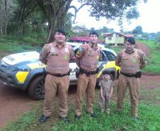Menina de quatro anos ganha presente de policiais militares do Centro-Sul do Paraná
