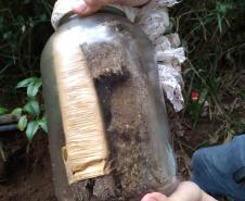 Mais de 1,3 quilos de maconha são apreendidos no Norte Pioneiro do Estado