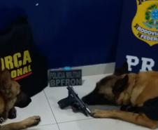 BPFron apreende maconha, arma de fogo e contrabando em diferentes situações no Oeste do estado; três pessoas são presas