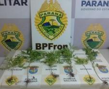 BPFron prende duas pessoas e apreende mais de dois quilos de cocaína, seis pés de maconha e dois veículos carregados com contrabando no Oeste do estado