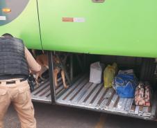 Na Fronteira, Polícia Militar apreende contrabando avaliado em R$150 mil