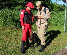 Paraná sedia Certificação Nacional em Cães em Foz do Iguaçu, no Oeste do estado