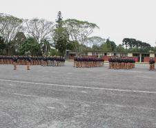 São José dos Pinhais, 19 de novembro de 2018 Dia da Bandeira