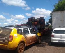 Em Cascavel, Patrulha Rural apreende 360 quilos de drogas