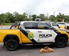 Matinhos, 06 de janeiro de 2019. Operação Verão Paraná 2018/2019 - Flagrante de Tráfico em Matinhos