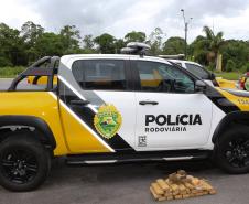 Matinhos, 06 de janeiro de 2019. Operação Verão Paraná 2018/2019 - Flagrante de Tráfico em Matinhos