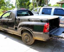Guaratuba, 11 de janeiro de 2019. Flagrante de Transporte Irregular de Palmito