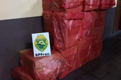 BPFron apreende 17 caixas de cigarros contrabandeados em meio a plantação no Oeste do estado