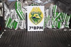 Carro carregado com 500 pacotes de veneno contrabandeados é apreendido pela PM em Tuneiras do Oeste
