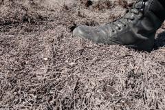 Polícia Ambiental contém incêndio no Parque Nacional de Ilha Grande durante patrulhamento de rotina