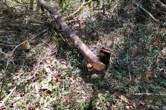 Após denúncia anônima, policiais ambientais localizam 12 hectares de área ambiental desmatada em Boa Ventura de São Roque, no interior