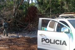 Vídeo de desmatamento chega à Polícia Ambiental e multa donos de máquina e propriedade em R$ 23,4 mil cada um em Roncador (PR)